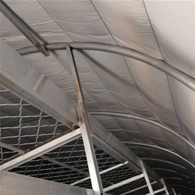 黑白膜施工案例